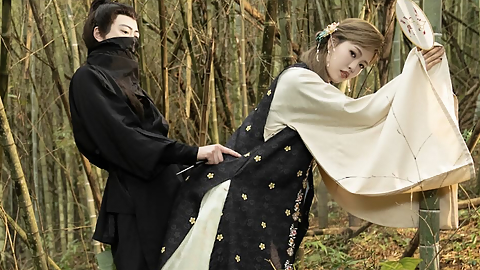 Vintage Chinese Porn Top Eight Chinese Geisha - 6